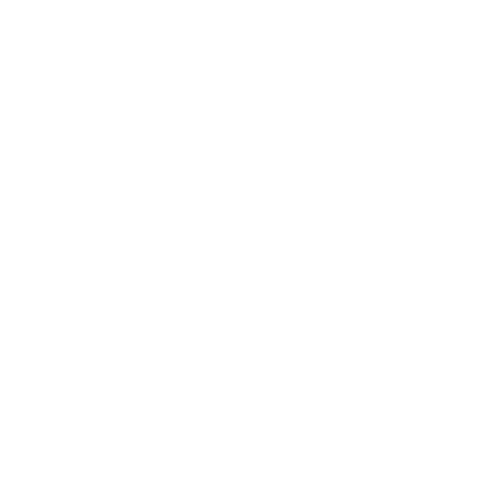 logo solydev blanc